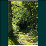 WhatsApp Image 2024-06-11 at 09.48.16.jpg